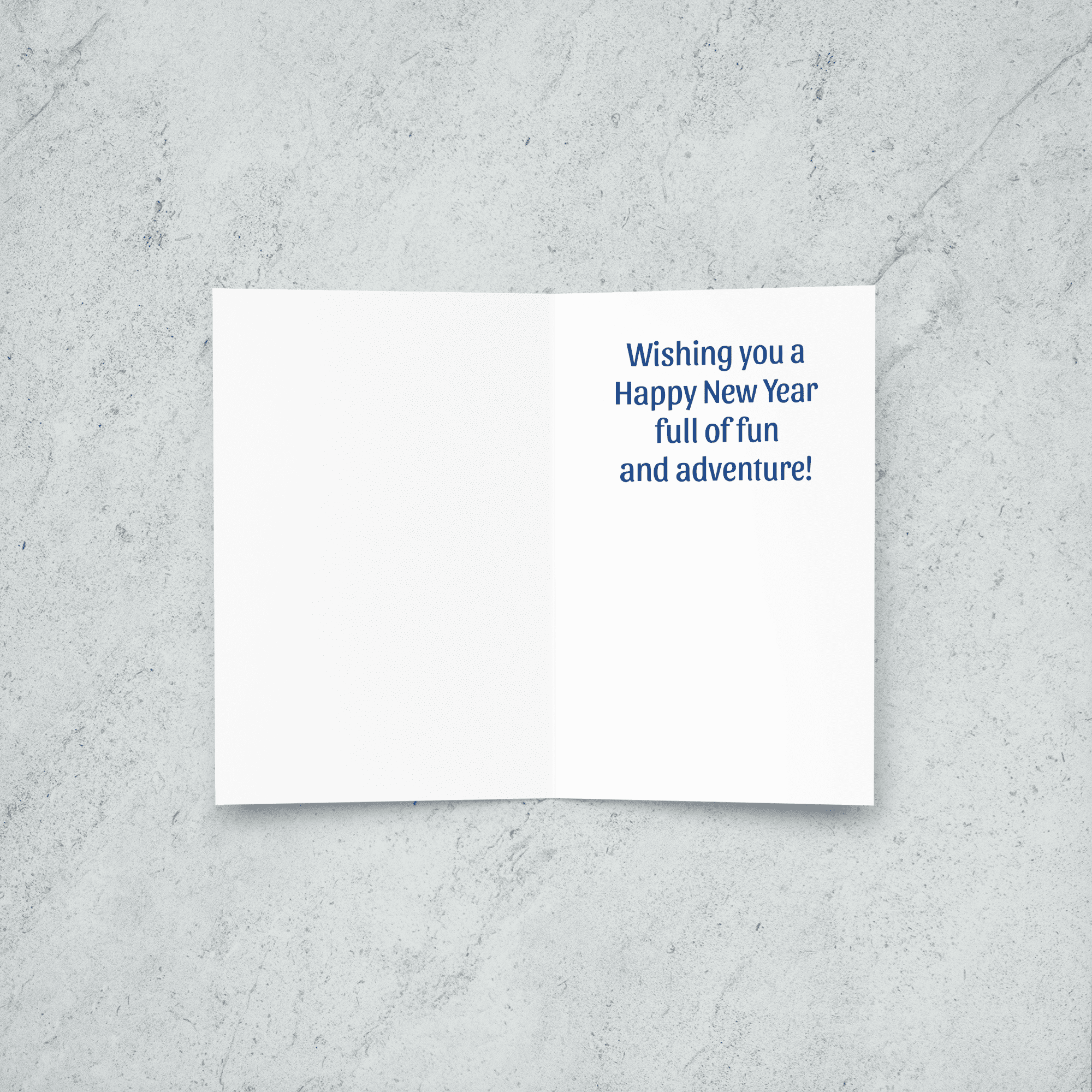 Inside reads: "Wishing you a Happy New Year full of fun and adventure!"